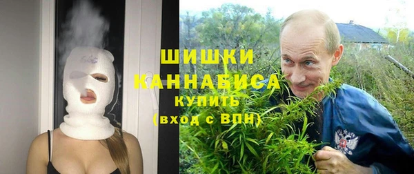 PSILOCYBIN Сафоново